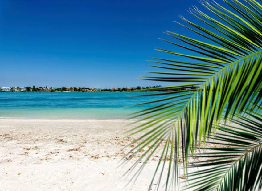 Exploring Sarasota: A Perfect Getaway for Sun, Sand, and Adventure